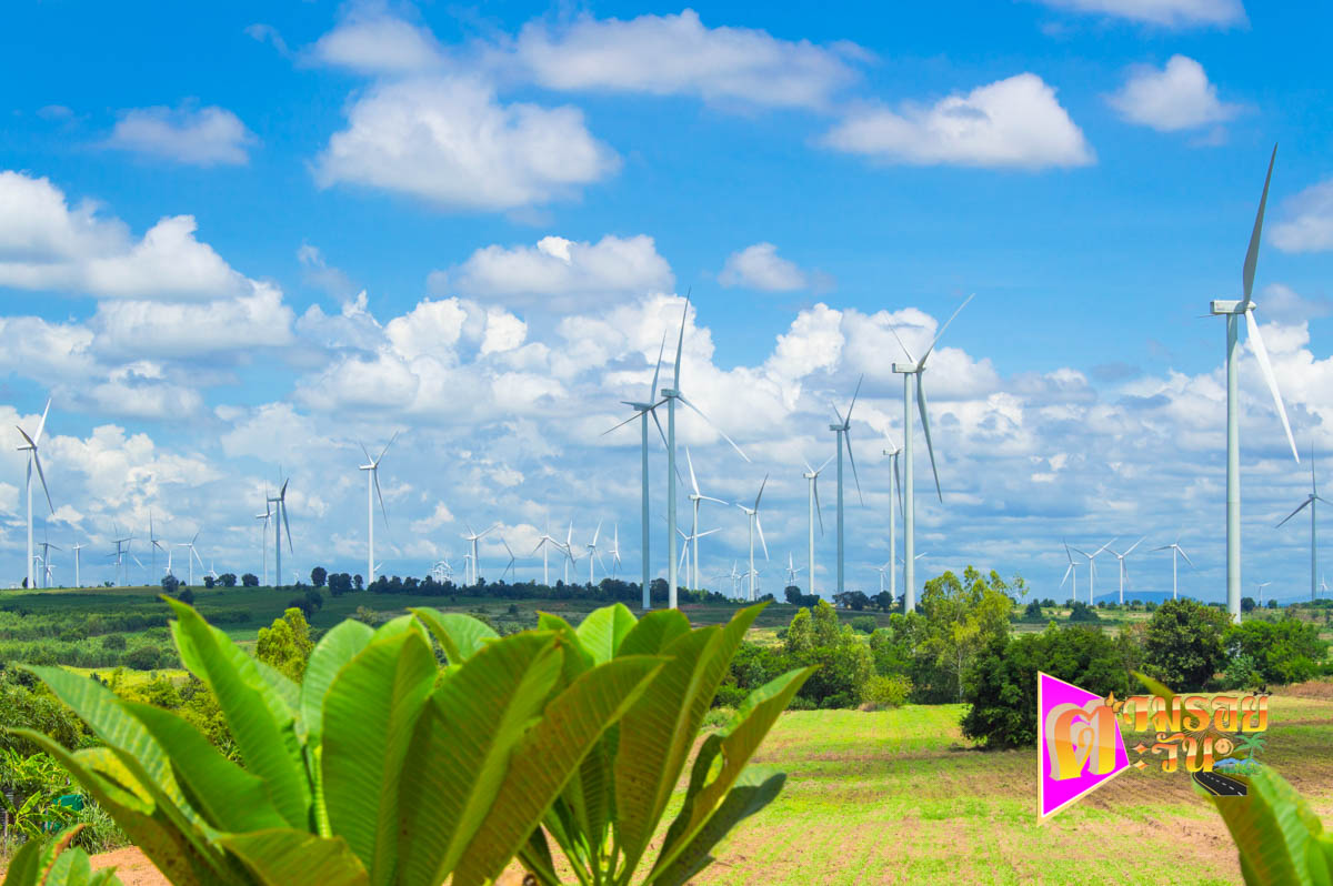 ตามรอยตะวัน